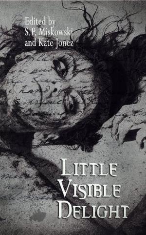 Little Visible Delight by S.P. Miskowski, Kate Jonez, Lynda E. Rucker, Steve Duffy, Mercedes M. Yardley, Ennis Drake