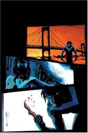 Nightwing: Brothers in Blood by Bruce Jones