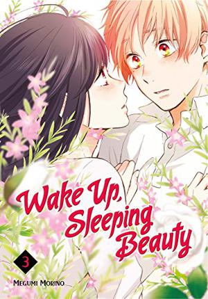 Wake Up, Sleeping Beauty, Vol. 3 by Megumi Morino