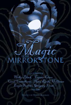 Magic in the Mirrorstone by Steve Berman, Holly Black, Cecil Castellucci, Cassandra Clare, Eugie Foster, Nina Kiriki Hoffman, Gregory Frost, J.D. EveryHope, Ann Zeddies, Lawrence M. Schoen, E. Sedia, Tiffany Trent, Craig Laurance Gidney, Beth Bernobich, Jim C. Hines, Sean Manseau