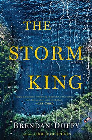The Storm King by Brendan Duffy