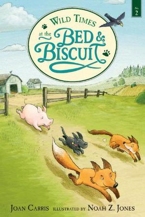 Wild Times at the Bed  Biscuit by Joan Carris, David de Vries