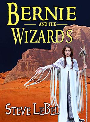 Bernie and the Wizards by Steve LeBel
