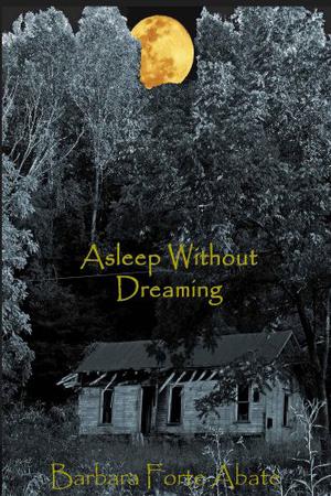 Asleep Without Dreaming by Barbara Forte Abate
