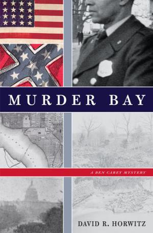 Murder Bay: A Ben Carey Mystery by David R. Horwitz