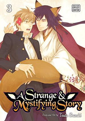 A Strange and Mystifying Story, Vol. 3 (A Strange and Mystifying Story #3)