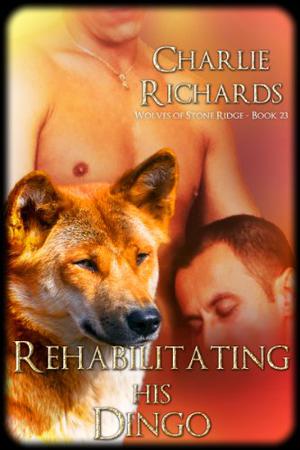 Rehabilitating His Dingo (Stone Ridge Universe #48)