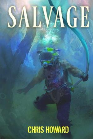 Salvage by Chris Howard