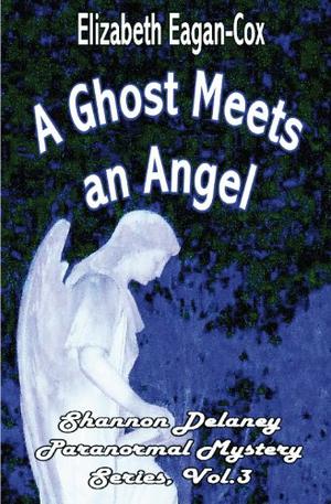 A Ghost Meets an Angel (Shannon Delaney #3)
