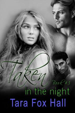 Taken in the Night (Promise Me #3)