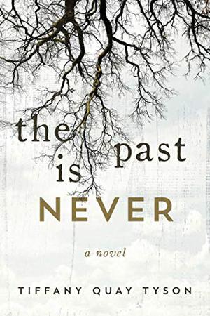 The Past Is Never by Tiffany Quay Tyson