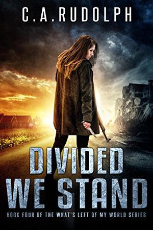 Divided We Stand: Book Four of the What's Left of My World Series (What's Left of My World #4)