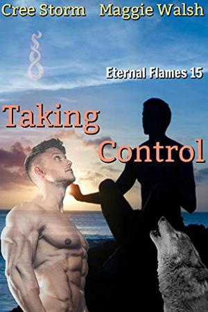Taking Control by Cree Storm, Maggie Walsh