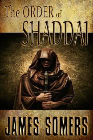 The Order of Shaddai (Realm Shift Trilogy #2)