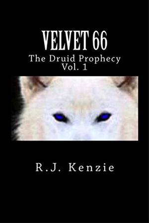 Velvet 66: The Druid Prophecy by Domino