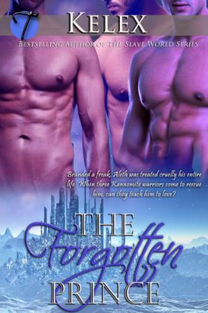 The Forgotten Prince by Kelex