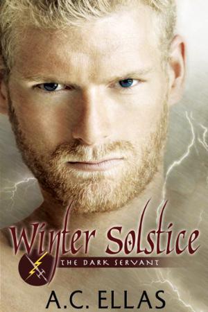 Winter Solstice by A.C. Ellas