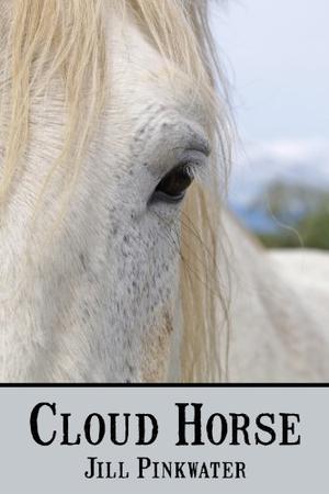 Cloud Horse by Jill Pinkwater