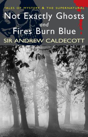 Not Exactly Ghosts & Fires Burn Blue by Andrew Caldecott, David Stuart Davies