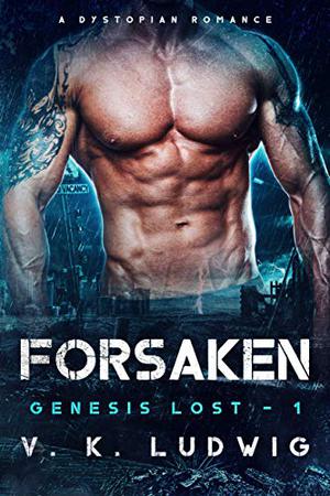 The Heir by V.K. Ludwig