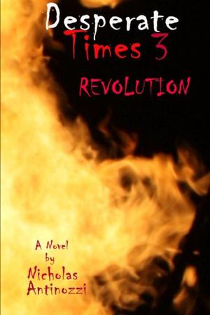Desperate Times Three: Revolution by Nicholas Antinozzi