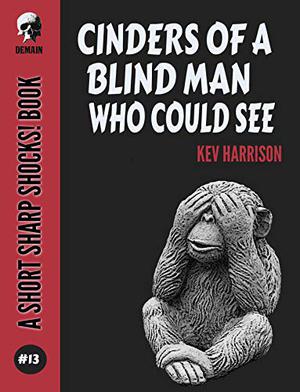 Cinders of a Blind Man Who Could See by Kev Harrison