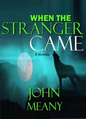When The Stranger Came by John Meany