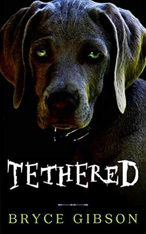 Tethered: County Line Horror #4 by Bryce Gibson