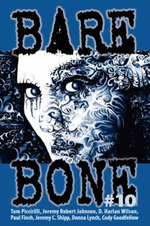 Bare Bone #10 by Kevin L. Donihe, Robert Dunbar, D. Harlan Wilson, M.P. Johnson, Ronald Malfi, Gary McMahon, Mark Zirbel, John Platt, Kendall Evans, Michael Kelly, Jeremy C. Shipp, Tom Piccirilli, Michael A. Arnzen, Joy Marchand, Steve Rasnic Tem, K.S. Hardy, Cathy Buburuz, Kurt Newton, Jamison Landry, Charlee Jacob, Jeffrey A. Stadt, Jeremy Robert Johnson, Donna Lynch, Mark Patrick Lynch, Benjamin X. Wretlind, Cody Goodfellow, Gary Fry, Mark Justice, Paul Finch