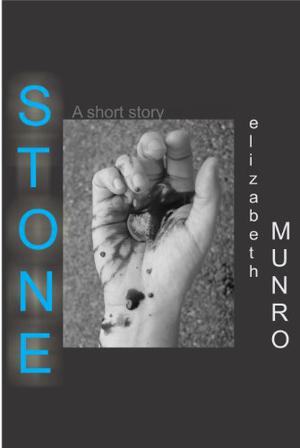 Stone by Elizabeth Munro