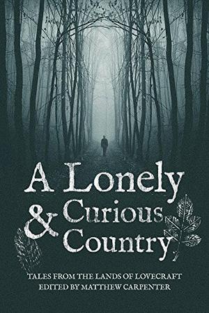 A Lonely and Curious Country by Matthew Carpenter, Steven Prizeman, Sean Farrell, K.H. Vaughn, Pete Rawlik, Rebecca Allred, Christine Morgan, Susan Wong, Damir Salkovic, Jonathan Titchenal, Paul R. McNamee