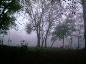 Zombies vs. Vampires 1 by Keith Luethke