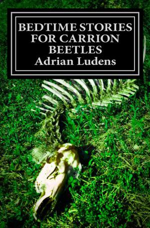 Bedtime Stories for Carrion Beetles by Adrian Ludens