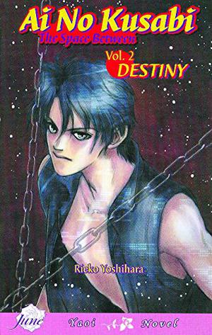 Ai no Kusabi Vol. 2: Destiny by Rieko Yoshihara