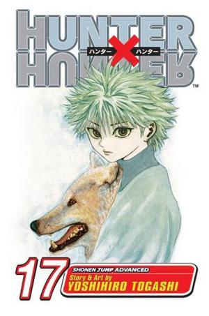 Hunter x Hunter, Vol. 17 (Hunter × Hunter #17)