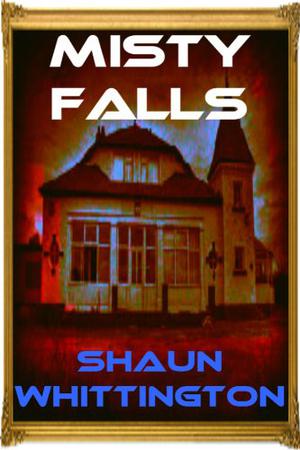 Misty Falls by Shaun Whittington