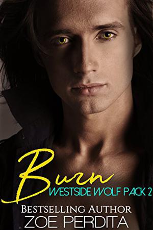 Burn by Zoe Perdita