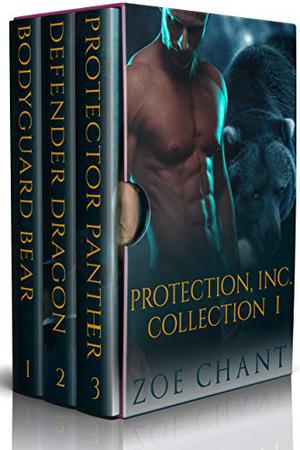 Protection, Inc. Box Set One by Zoe Chant