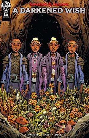 Dungeons & Dragons: A Darkened Wish #5 (Dungeons & Dragons: A Darkened Wish #5)