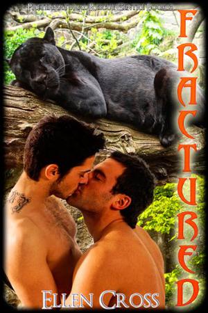 Fractured (Preternatural Rescue Centre #3)