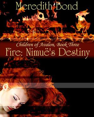 Fire: Nimue's Destiny (Children of Avalon #3)