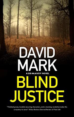 Blind Justice (DS Aector McAvoy #10)