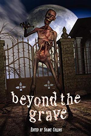 Beyond the Grave by Steven Gepp, Lee Clark Zumpe