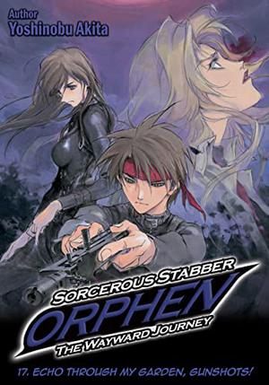Sorcerous Stabber Orphen: The Wayward Journey Volume 17 by Yoshinobu Akita