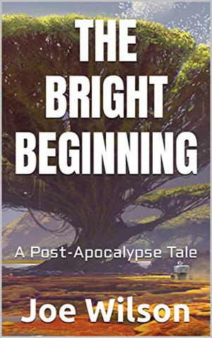 THE BRIGHT BEGINNING by Joe Wilson
