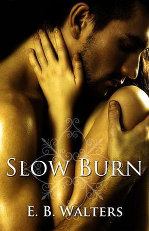 Slow Burn (The Fitzgerald Family #1)