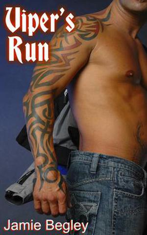 Viper's Run (The Last Riders #2)