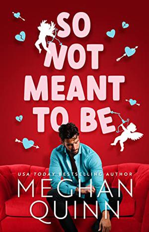 So Not Meant To Be (Cane Brothers #2)
