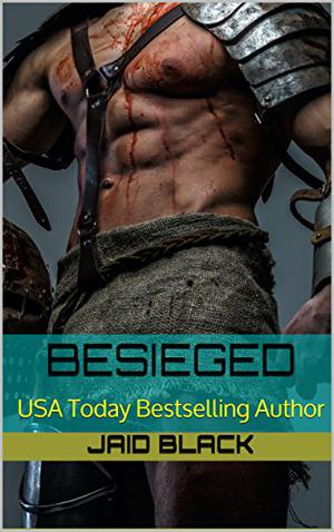 Besieged (Vikings Underground #1)