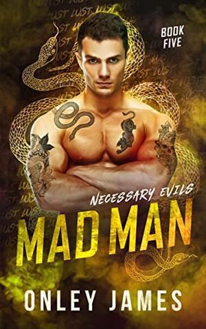 Mad Man (Necessary Evils #5)